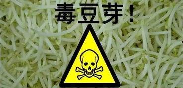 毒豆芽视频,食品安全警示录