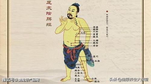 按摩足三里的手法视频,轻松掌握养生保健之道