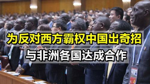 中非论坛视频,携手共进，共绘合作新篇章