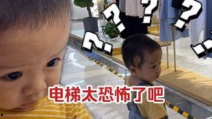 手指谣视频大全,手指谣视频大全精彩回顾