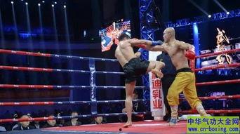 武林风最新一期比赛视频,热血激战，谁将问鼎武林之巅？