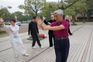 张全亮老八掌视频教学,传承武术精髓，揭秘掌法奥秘