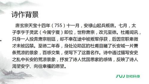 春望视频讲解,穿越时空的视觉盛宴