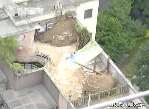 修房顶视频,跟随视频学习修房顶全过程